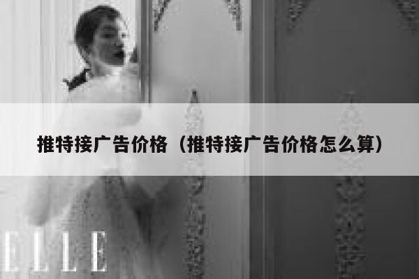 推特接广告价格（推特接广告价格怎么算） 第1张