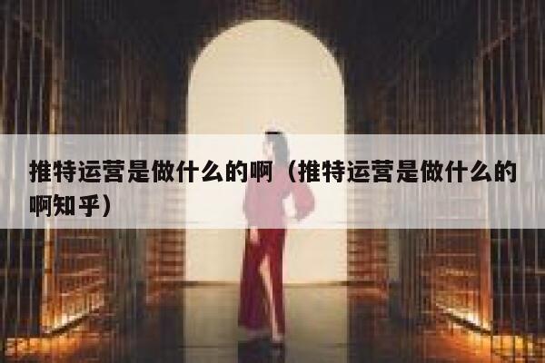 推特运营是做什么的啊（推特运营是做什么的啊知乎） 第1张