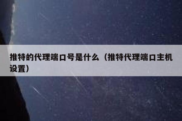 推特的代理端口号是什么（推特代理端口主机设置） 第1张