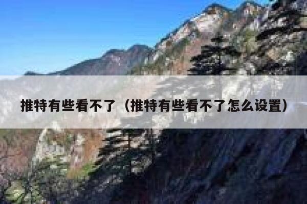 推特有些看不了（推特有些看不了怎么设置） 第1张