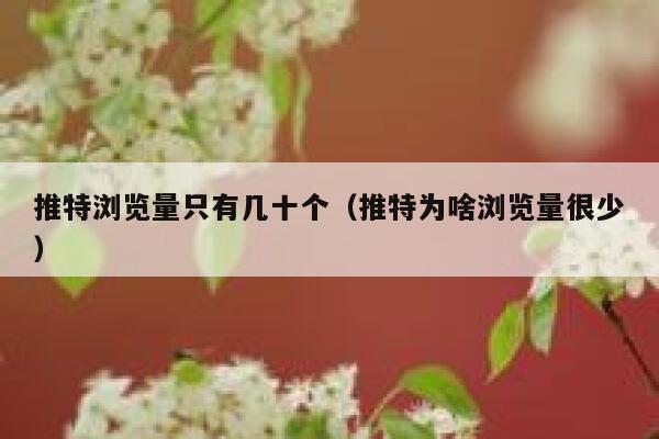 推特浏览量只有几十个（推特为啥浏览量很少） 第1张