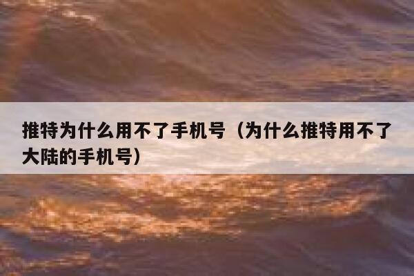 推特为什么用不了手机号（为什么推特用不了大陆的手机号） 第1张