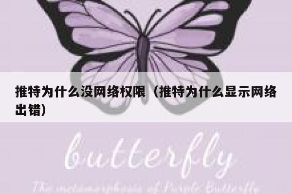 推特为什么没网络权限（推特为什么显示网络出错） 第1张