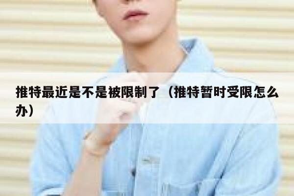 推特最近是不是被限制了（推特暂时受限怎么办） 第1张