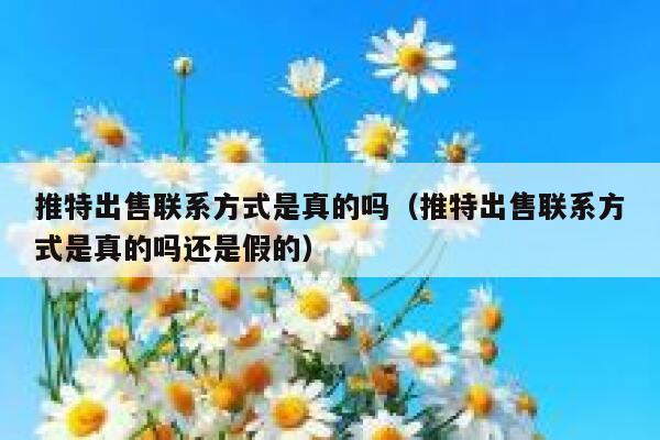 推特出售联系方式是真的吗（推特出售联系方式是真的吗还是假的） 第1张