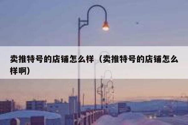 卖推特号的店铺怎么样（卖推特号的店铺怎么样啊） 第1张
