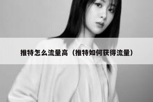 推特怎么流量高（推特如何获得流量） 第1张