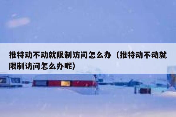 推特动不动就限制访问怎么办（推特动不动就限制访问怎么办呢） 第1张