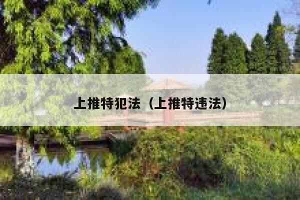 上推特犯法（上推特违法） 第1张
