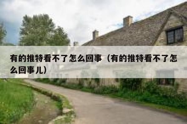 有的推特看不了怎么回事（有的推特看不了怎么回事儿） 第1张