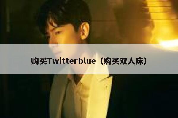 购买Twitterblue（购买双人床） 第1张