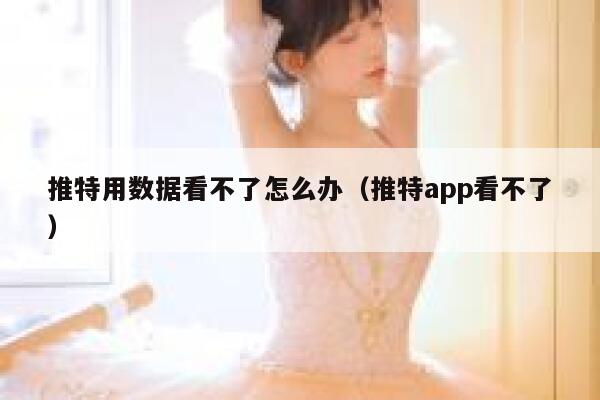 推特用数据看不了怎么办（推特app看不了） 第1张