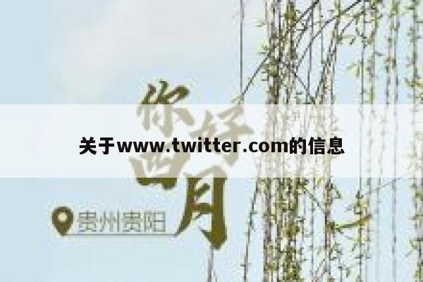 关于www.twitter.com的信息 第1张
