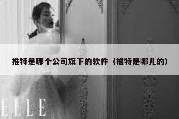 推特是哪个公司旗下的软件（推特是哪儿的） 第1张