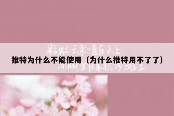 推特为什么不能使用（为什么推特用不了了） 第1张