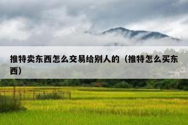 推特卖东西怎么交易给别人的（推特怎么买东西） 第1张