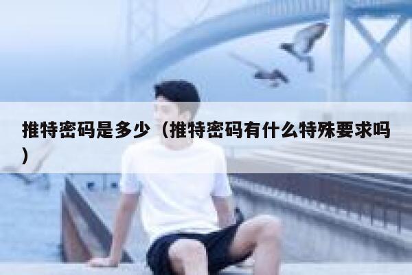 推特密码是多少（推特密码有什么特殊要求吗） 第1张