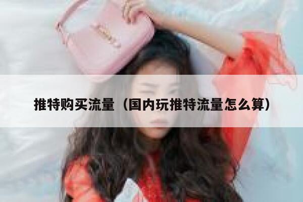 推特购买流量（国内玩推特流量怎么算） 第1张