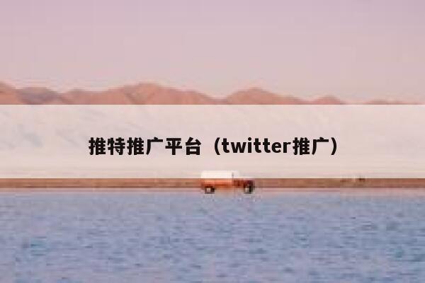 推特推广平台（twitter推广） 第1张