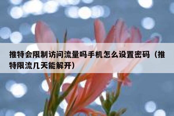 推特会限制访问流量吗手机怎么设置密码（推特限流几天能解开） 第1张