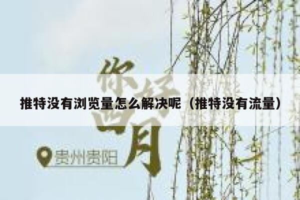 推特没有浏览量怎么解决呢（推特没有流量） 第1张