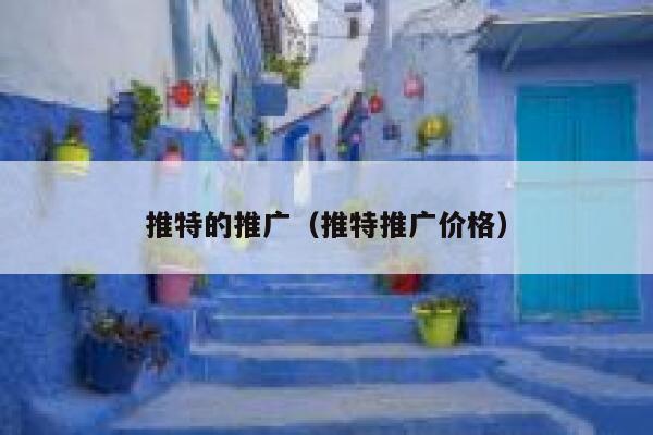 推特的推广（推特推广价格） 第1张