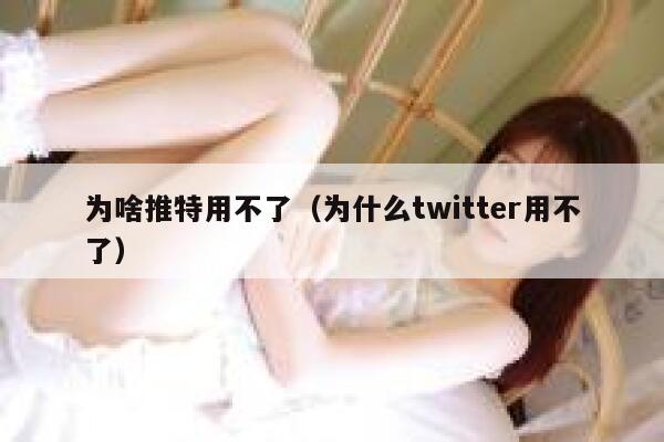 为啥推特用不了（为什么twitter用不了） 第1张