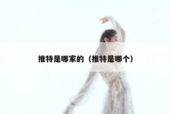 推特是哪家的（推特是哪个） 第1张