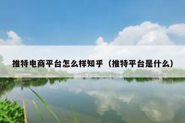 推特电商平台怎么样知乎(推特平台是什么) 第1张 推特电商平台怎么样知乎(推特平台是什么) 第1张