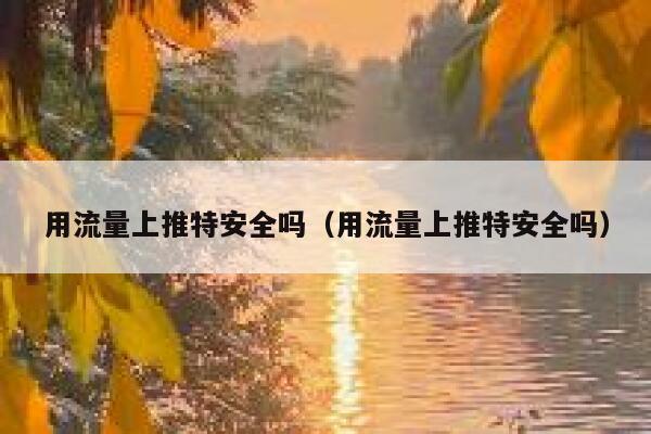 用流量上推特安全吗（用流量上推特安全吗） 第1张