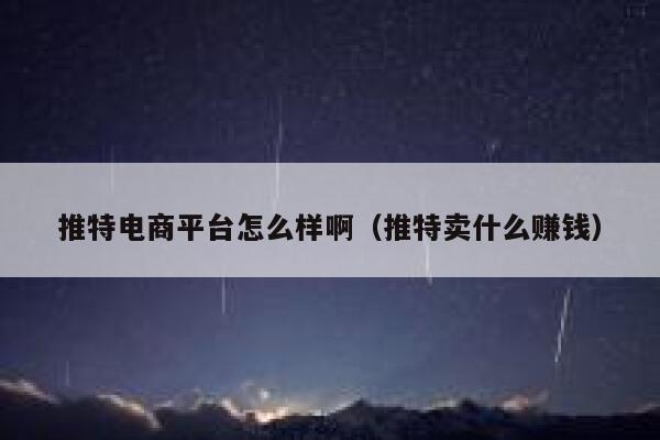 推特电商平台怎么样啊（推特卖什么赚钱） 第1张