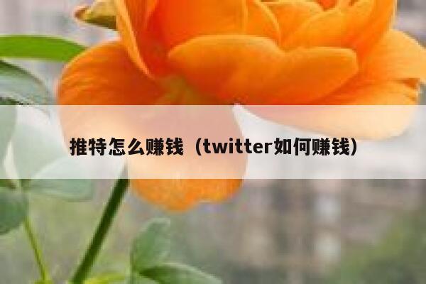 推特怎么赚钱（twitter如何赚钱） 第1张