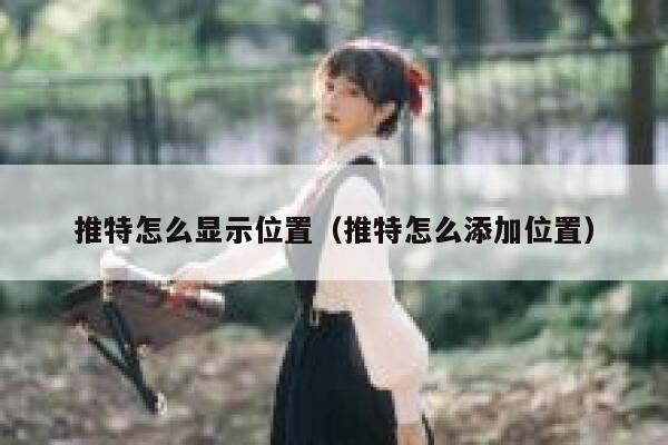 推特怎么显示位置（推特怎么添加位置） 第1张