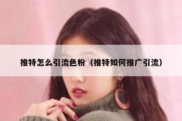 推特怎么引流色粉（推特如何推广引流） 第1张