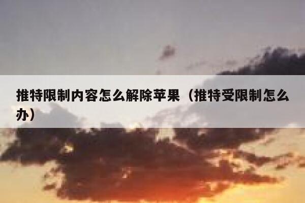 推特限制内容怎么解除苹果（推特受限制怎么办） 第1张