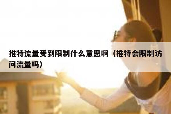 推特流量受到限制什么意思啊（推特会限制访问流量吗） 第1张
