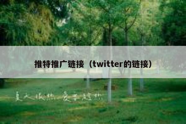 推特推广链接（twitter的链接） 第1张