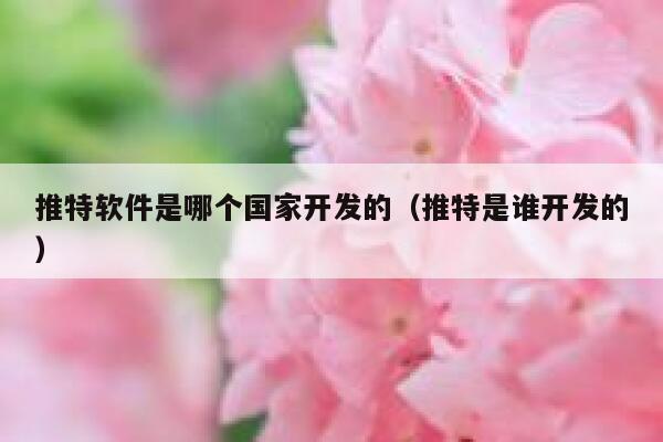 推特软件是哪个国家开发的(推特是谁开发的) 第1张 推特软件是哪个国家开发的(推特是谁开发的) 第1张