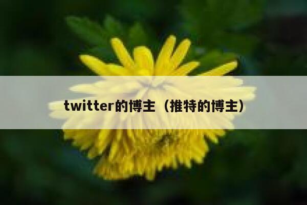 twitter的博主（推特的博主） 第1张
