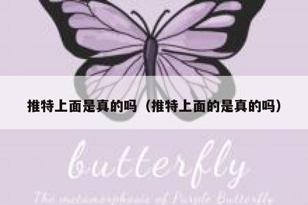 推特上面是真的吗(推特上面的是真的吗) 第1张 推特上面是真的吗(推特上面的是真的吗) 第1张