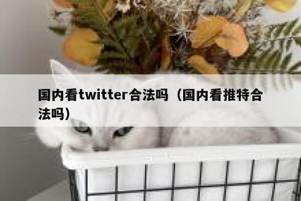 国内看twitter合法吗(国内看推特合法吗) 第1张 国内看twitter合法吗(国内看推特合法吗) 第1张
