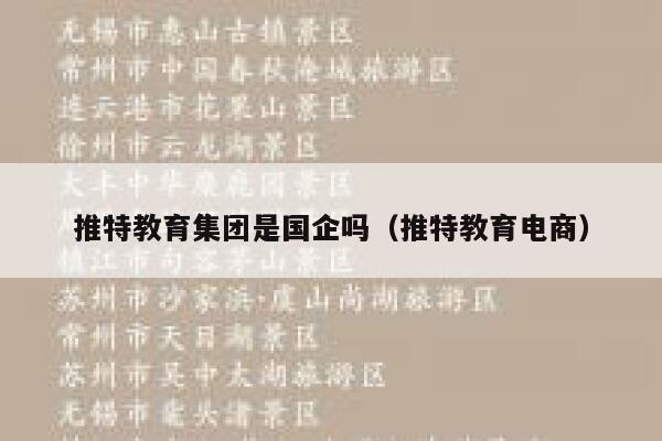 推特教育集团是国企吗(推特教育电商) 第1张 推特教育集团是国企吗(推特教育电商) 第1张