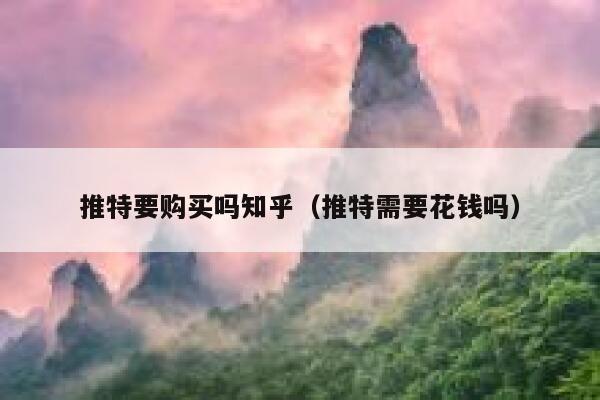 推特要购买吗知乎(推特需要花钱吗) 第1张 推特要购买吗知乎(推特需要花钱吗) 第1张