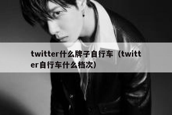 twitter什么牌子自行车(twitter自行车什么档次) 第1张 twitter什么牌子自行车(twitter自行车什么档次) 第1张