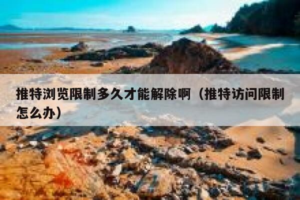 推特浏览限制多久才能解除啊(推特访问限制怎么办) 第1张 推特浏览限制多久才能解除啊(推特访问限制怎么办) 第1张