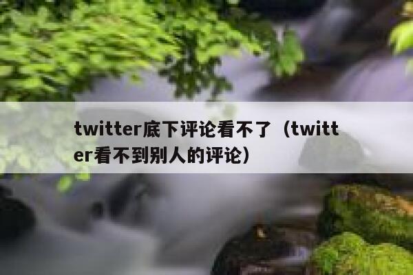 twitter底下评论看不了(twitter看不到别人的评论) 第1张 twitter底下评论看不了(twitter看不到别人的评论) 第1张