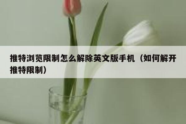 推特浏览限制怎么解除英文版手机（如何解开推特限制） 第1张