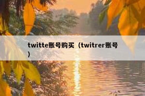 twitte账号购买(twitrer账号) 第1张 twitte账号购买(twitrer账号) 第1张