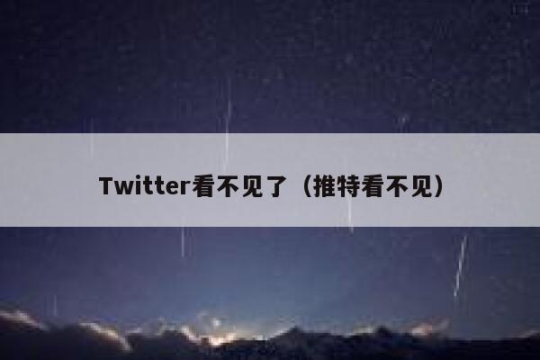 Twitter看不见了(推特看不见) 第1张 Twitter看不见了(推特看不见) 第1张