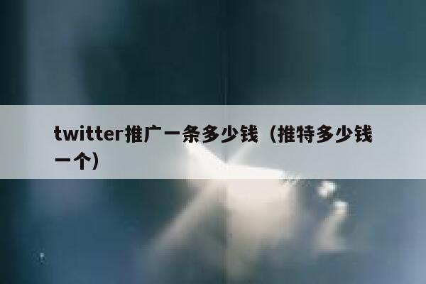 twitter推广一条多少钱（推特多少钱一个） 第1张